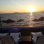 Cunda Beyaz Balina